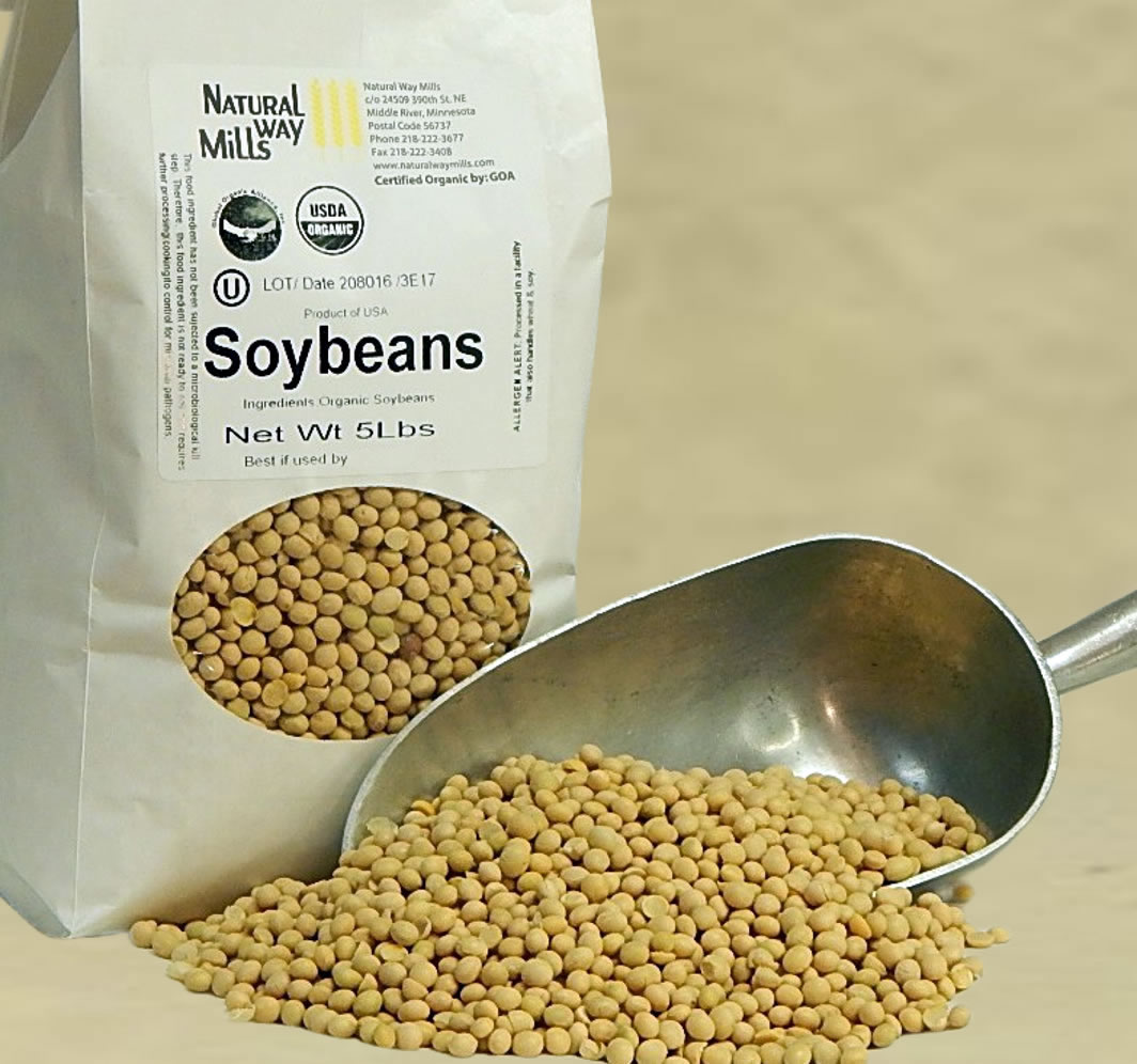 Organic Soy Beans